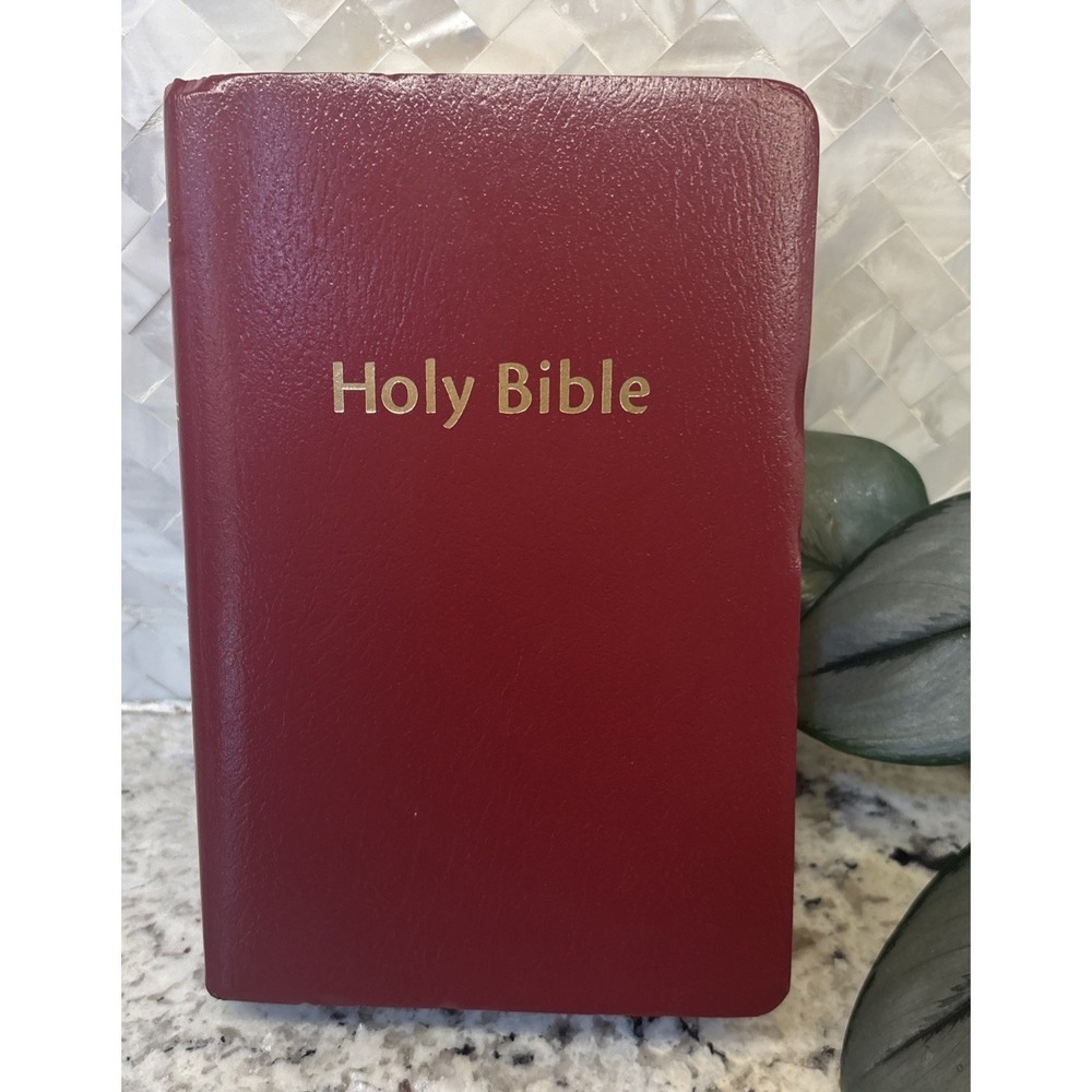 Zondervan Red‎ Holy Bible With Helps New International Version ZonderKidz